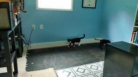 photo tile6_zpsa7f6b539.jpg