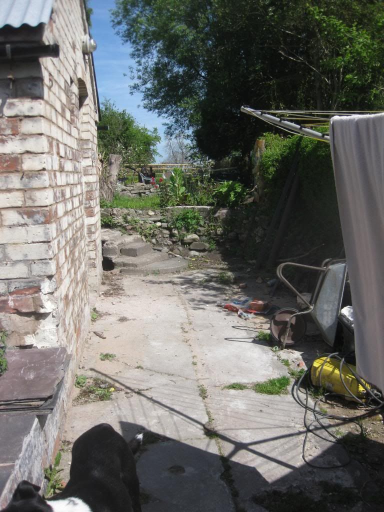 http://i1187.photobucket.com/albums/z383/kt_j63/IMG_5817.jpg