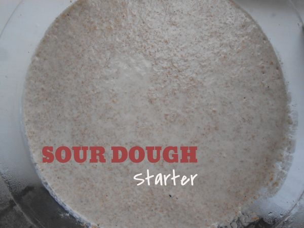 Sour dough starter.jpg