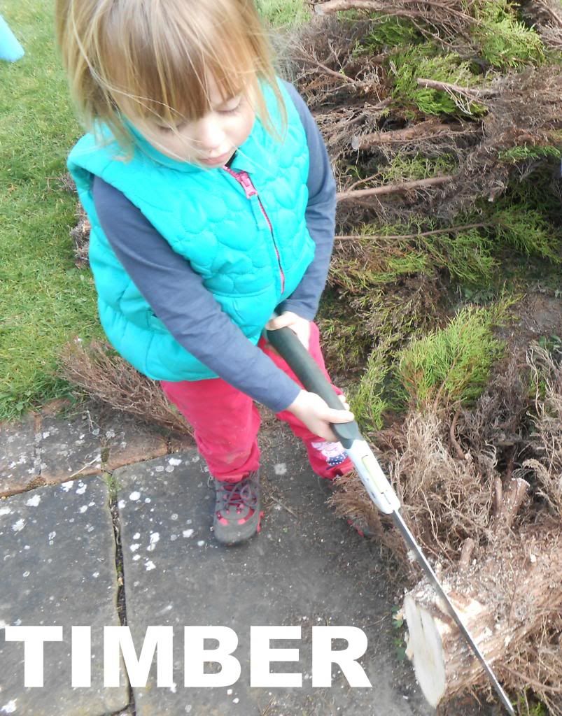  photo Girl chopping a tree .jpg