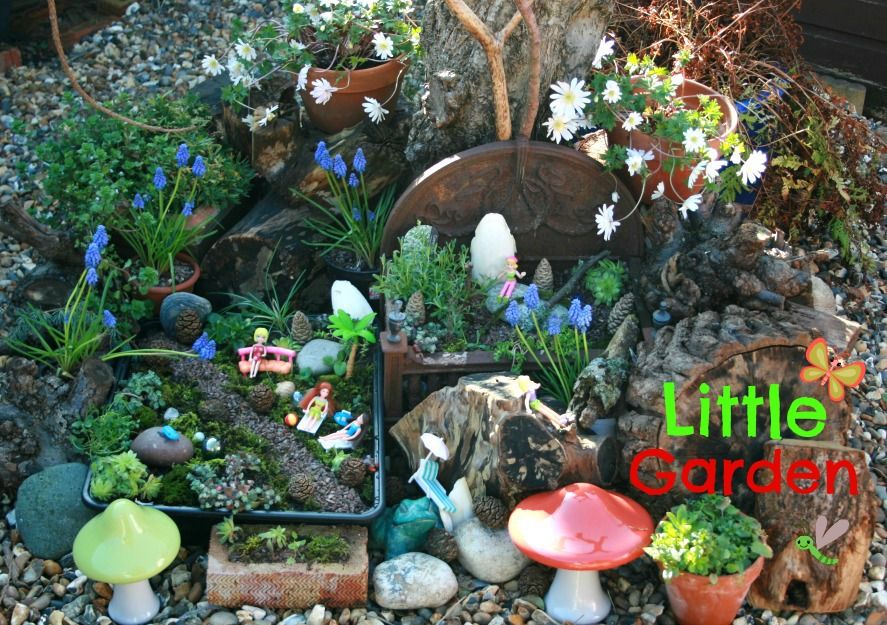  photo miniature garden.jpg