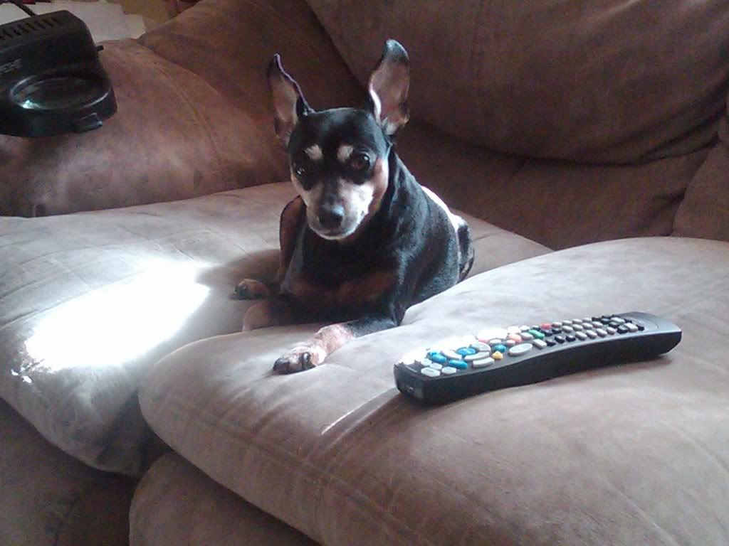 IMG00006-20100415-0936.jpg