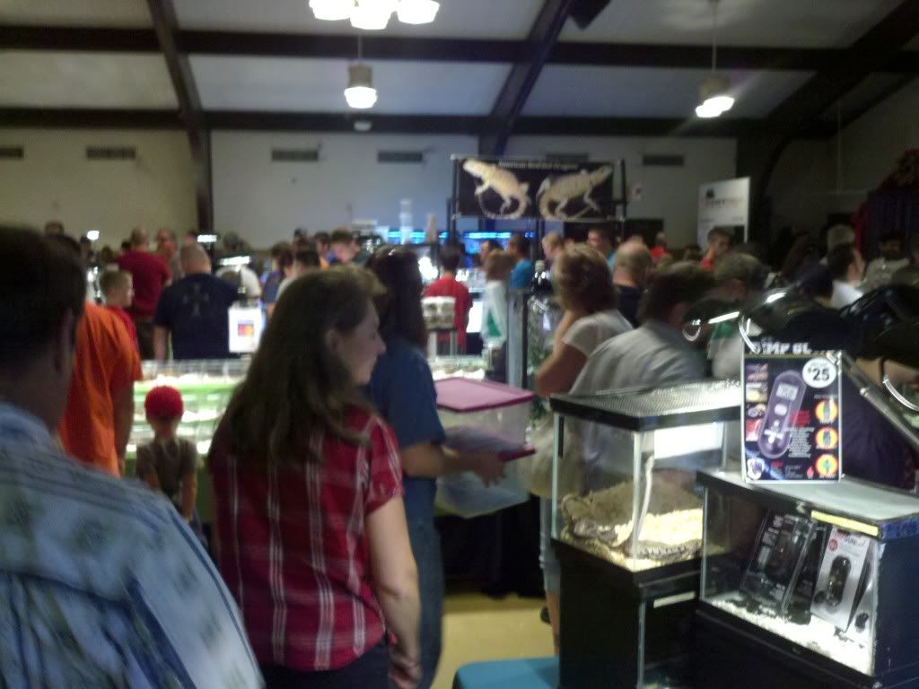 2011-08-14_11-15-38_951.jpg