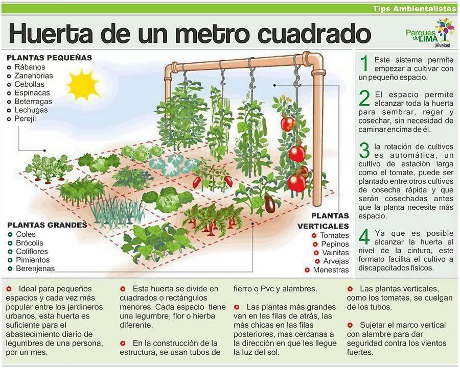 Proyecto Proyecto