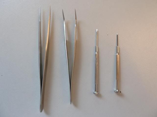 P1010277.jpg