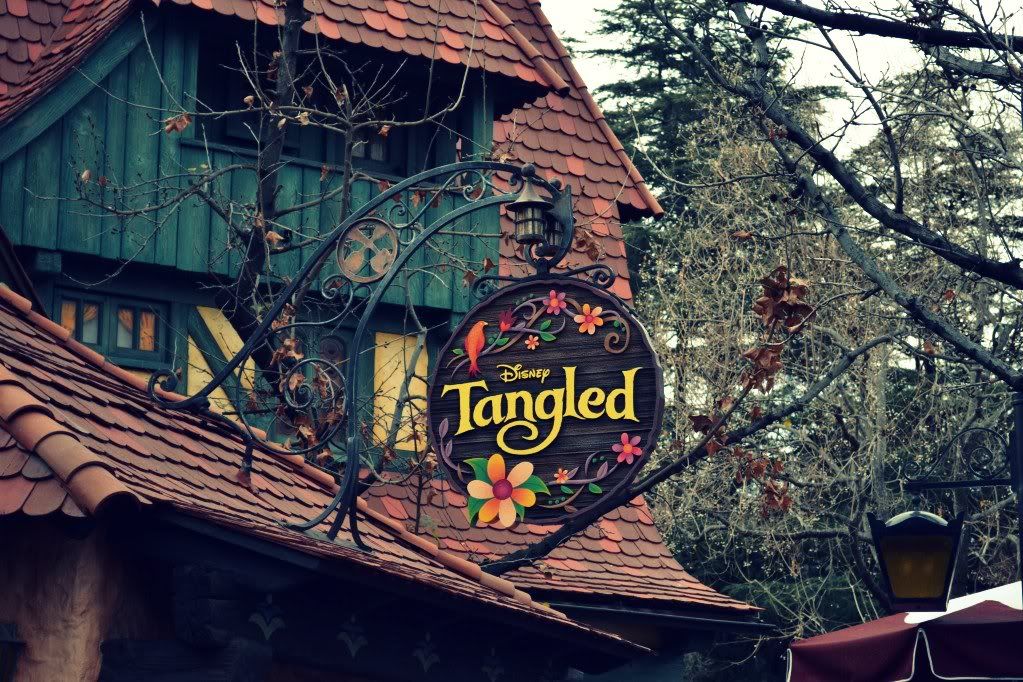 tangled sign.