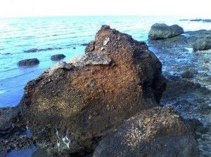 Pantai Rongkang Bangkalan