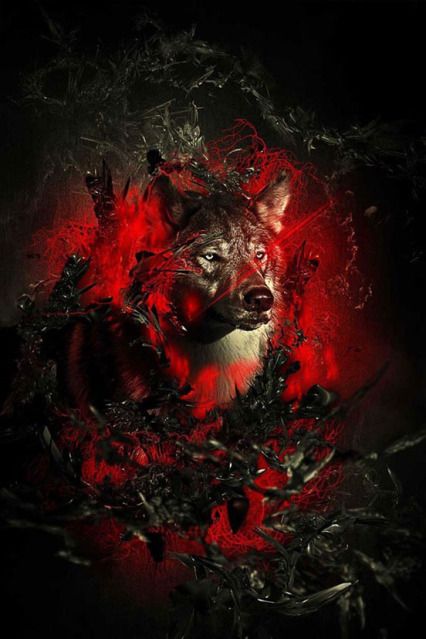 Fiery Wolf Creative Photo Gallery