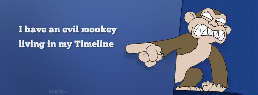 Funny Monkey Timeline Cover