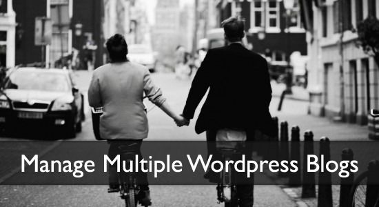 Manage WordPress Multisite Domains