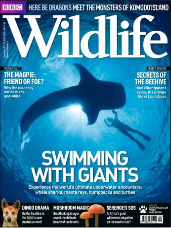 BBC Wildlife Magazine - September 2011