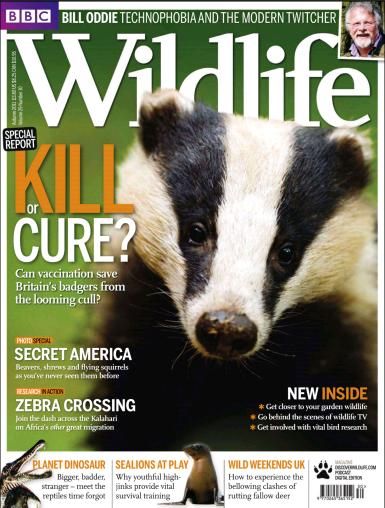 BBC Wildlife Magazine - December 2011