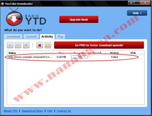 Penampakan Basic YTD