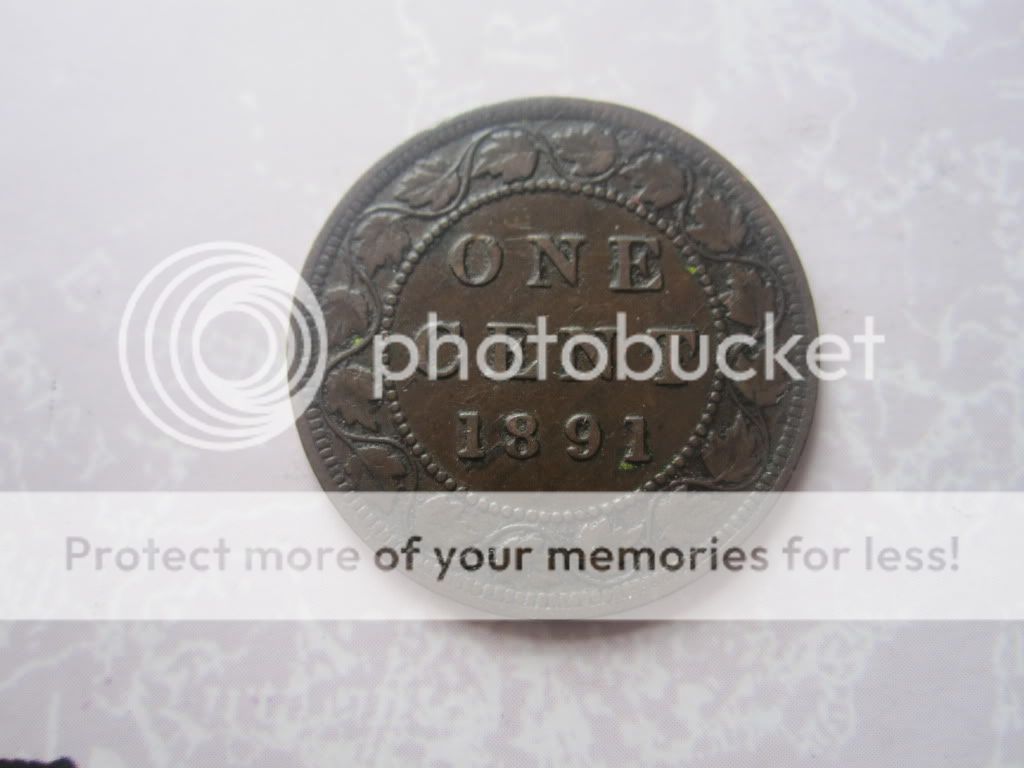 1891 Canadian Large Cent Very Nice Large Date/Large Leaves Variety 