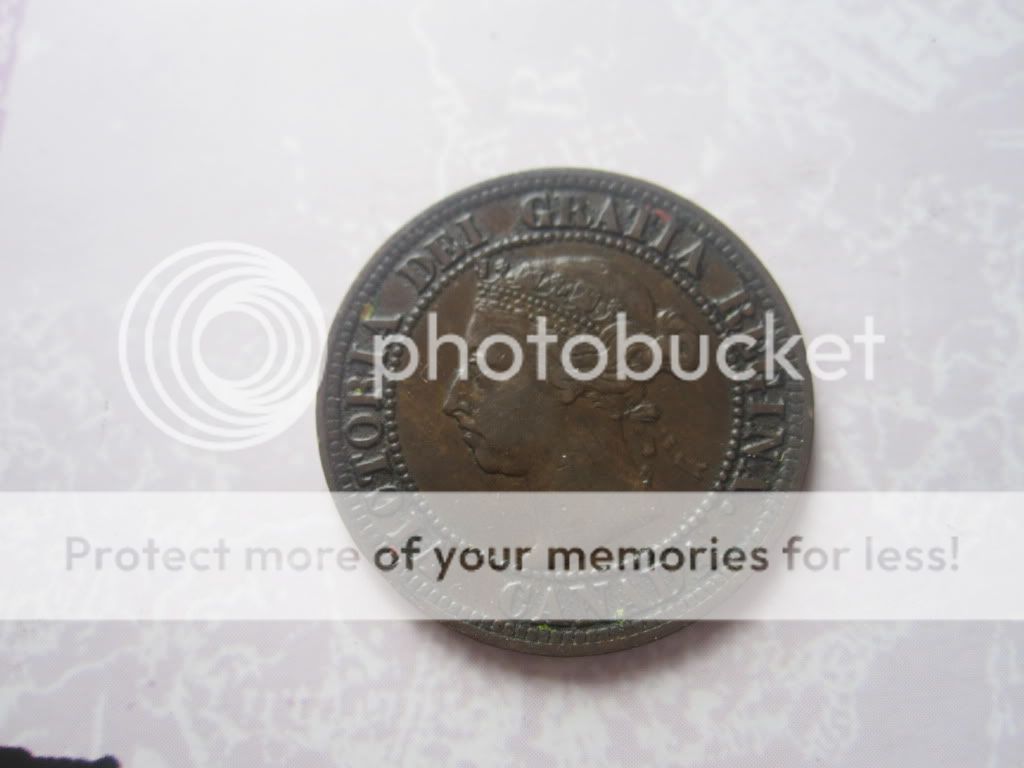 1891 Canadian Large Cent Very Nice Large Date/Large Leaves Variety 